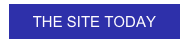 
THE SITE TODAY 
